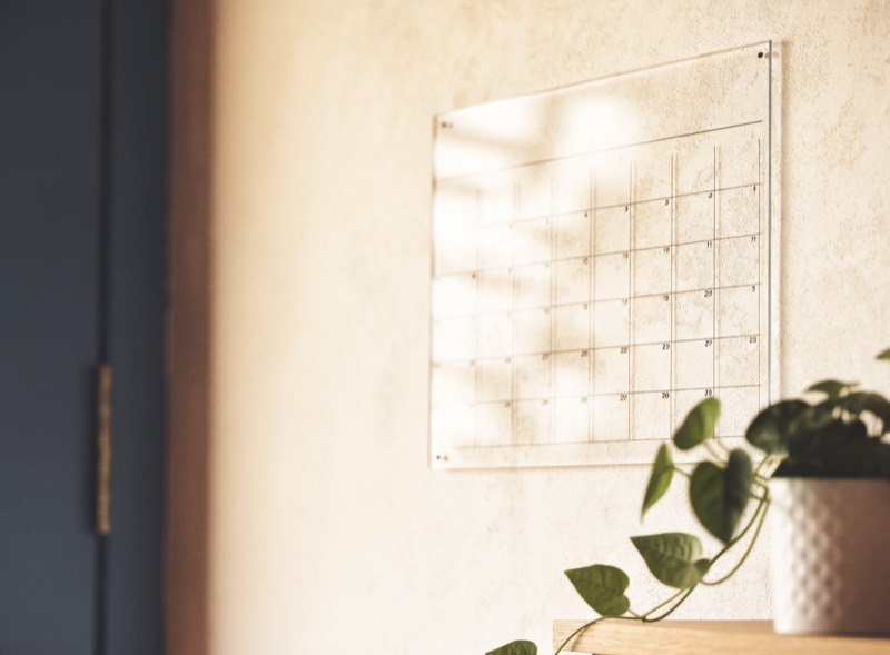 An acrylic wall calendar mounted on a warm plaster wall